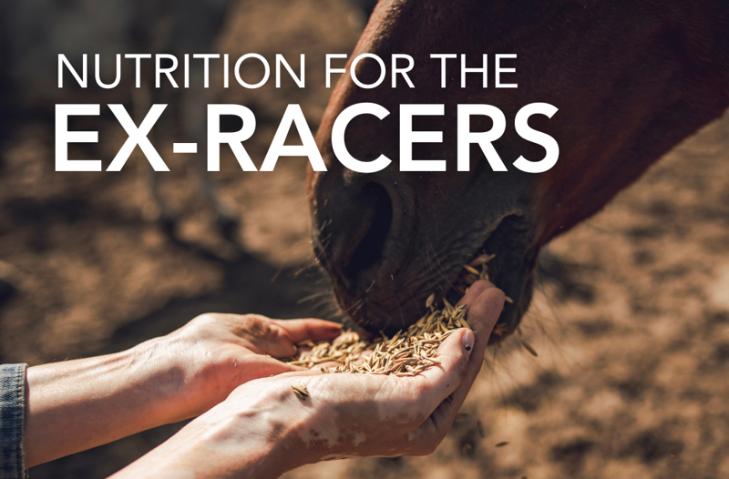 Nutrition for the Ex-racehorse - Equine Science Matters™